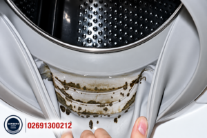 بوی بد لباسشویی سامسونگ و کپک روی لاستیک دور درب